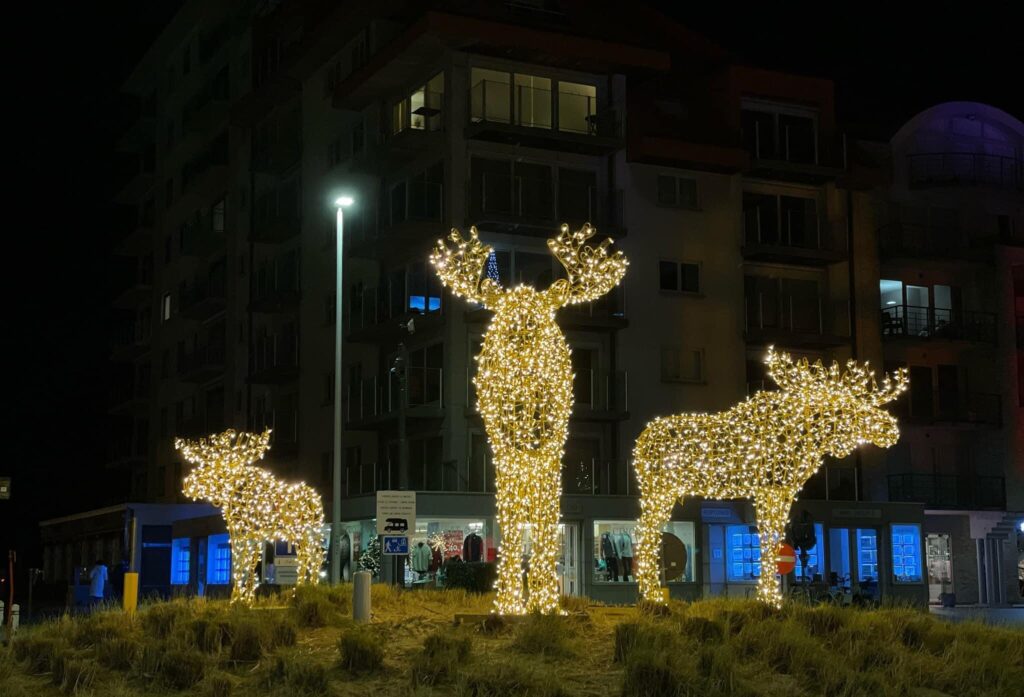 Elanden kerstverlichting Nieuwpoort